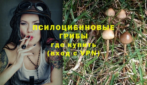 прущая мука Абинск